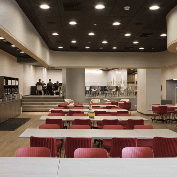 Dragonfly Cantilever