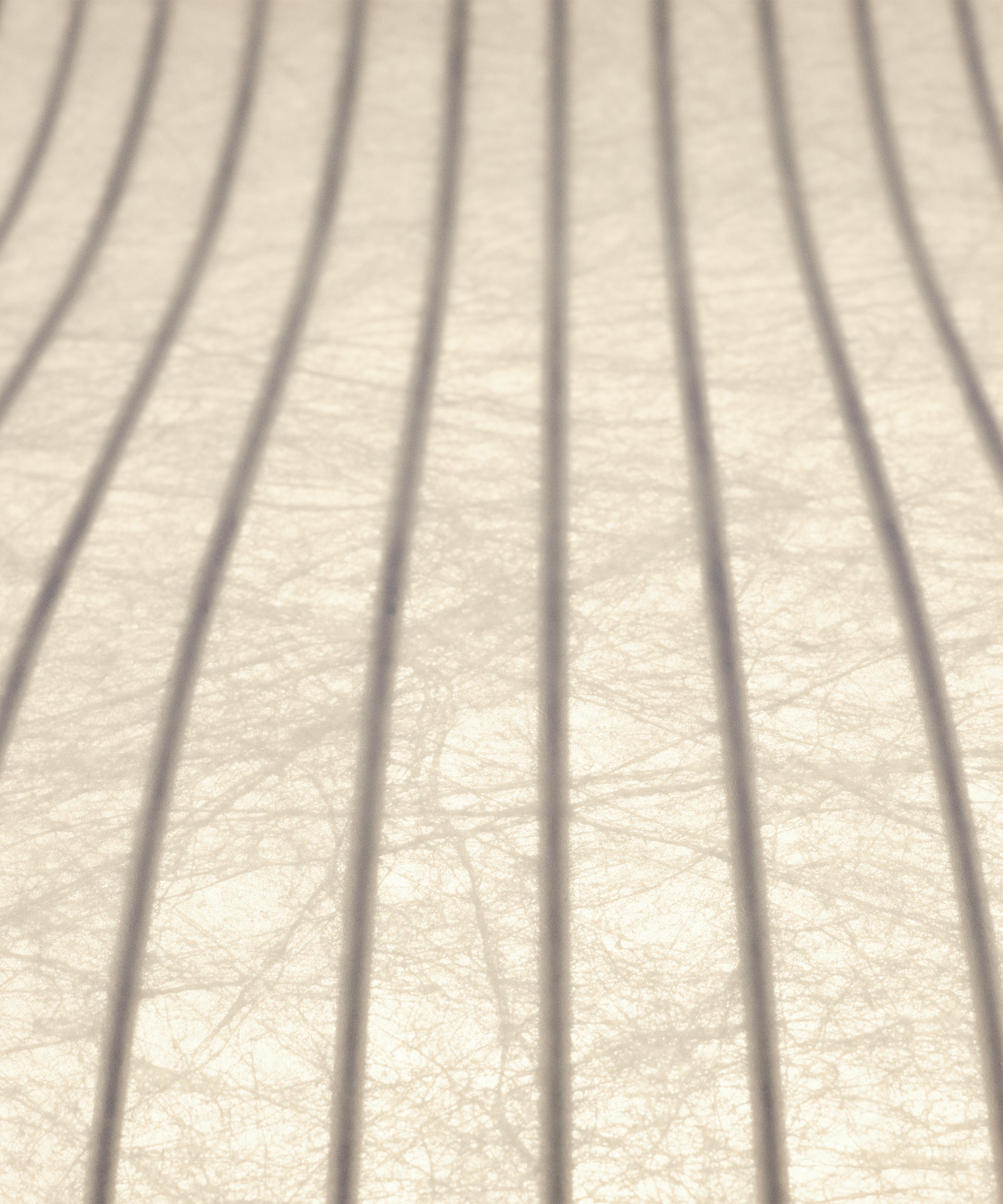 Strand Pendant Lamp | Closed