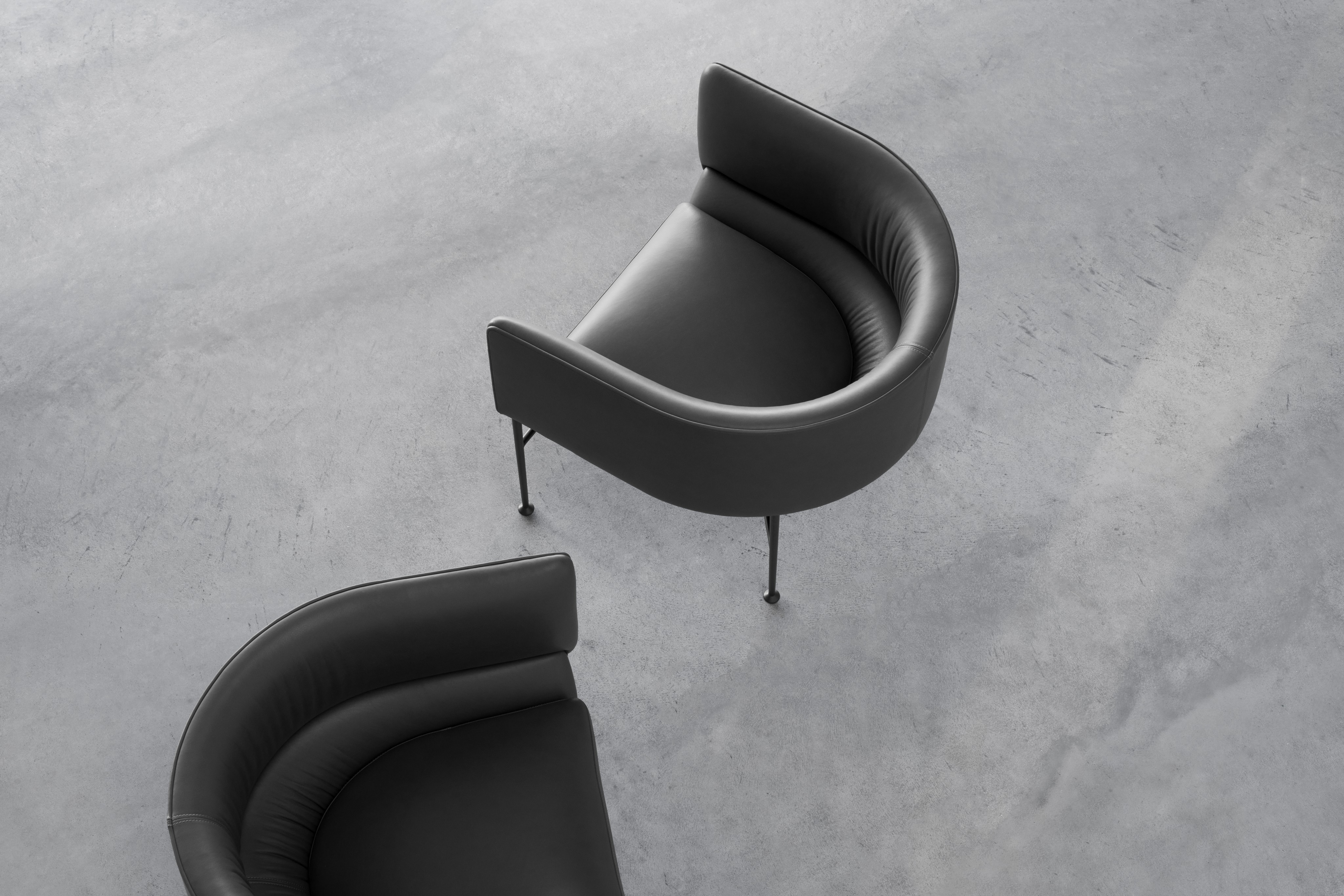 Collar Lounge Chair