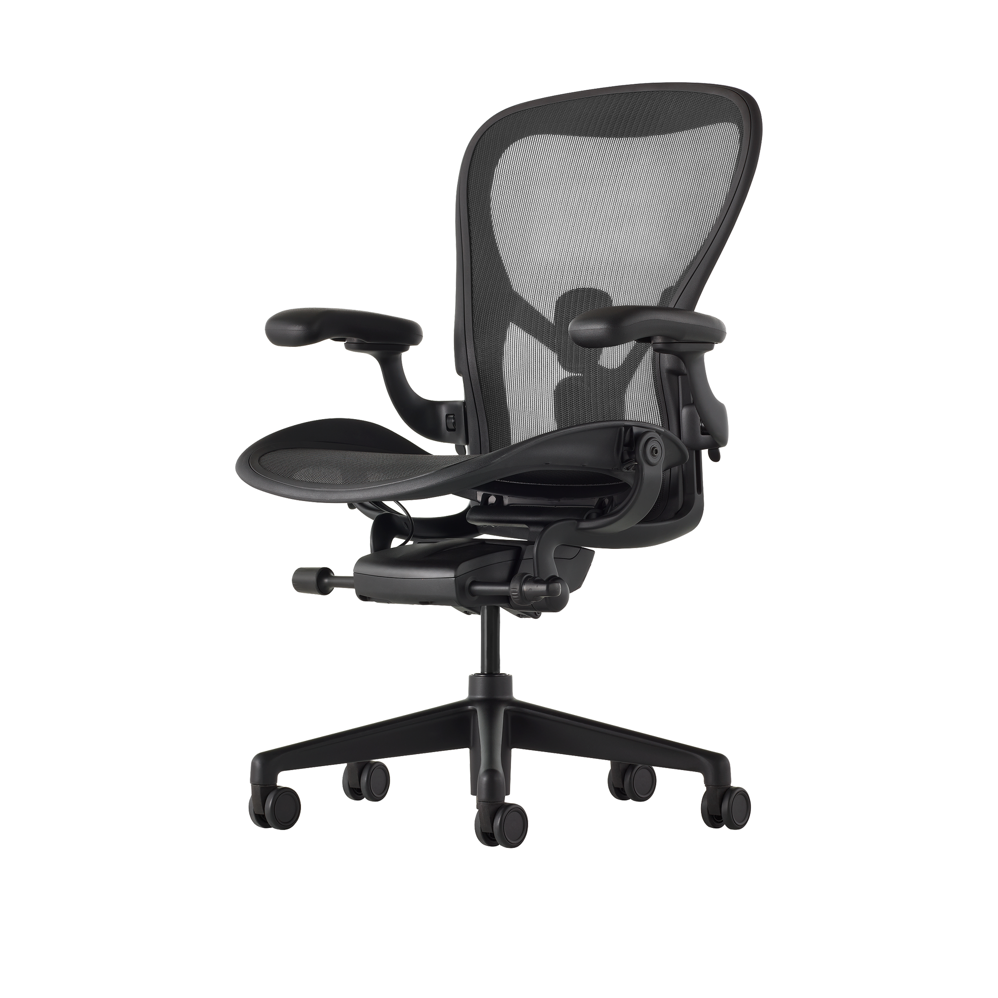 Aeron Onyx Size C